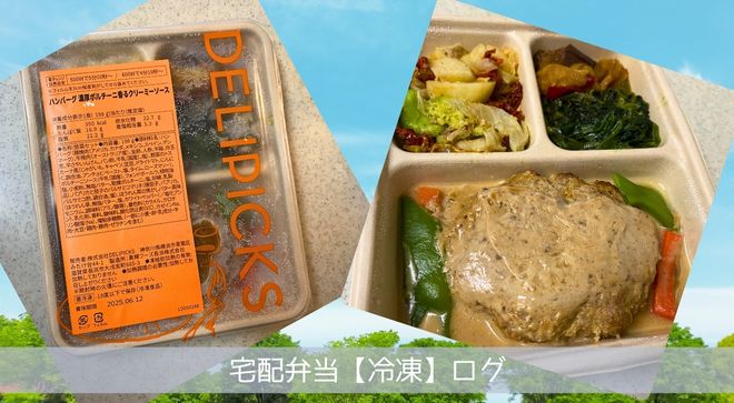 デリピックス 実食 盛り付け